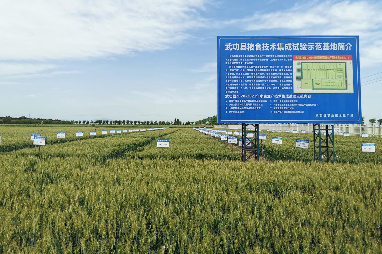 發展現代農業推動糧食產業高質量發展的武功實踐