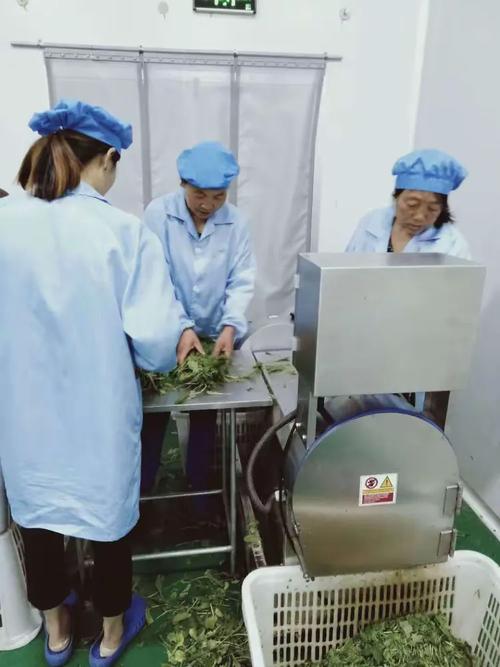 農(nóng)業(yè)開發(fā)部7月1日工作匯總